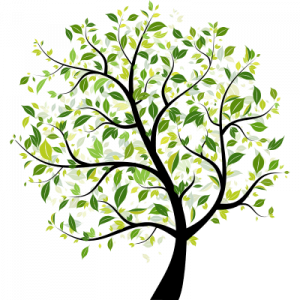 vector_tree-300x300.png